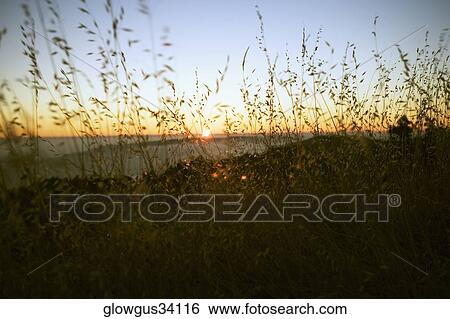 Sunset over the sea View Large Photo Image Stock Photograph - Sunset over the sea. Fotosearch