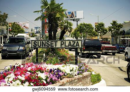 Sunset Plaza Sign erected in a flower bed, Los Angeles, California, USA View Large Photo Image Stock Photo - Sunset Plaza Sign erected in a flower bed, Los Angeles, California, USA. Fotosearch