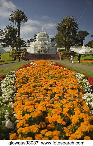Tourists in a garden, California, USA View Large Photo Image Stock Photo - Tourists in a garden, California, USA. Fotosearch