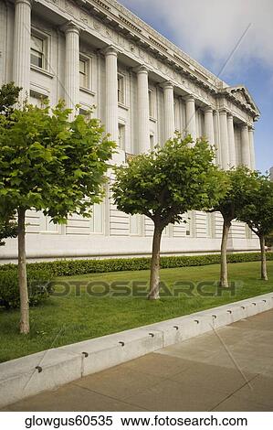 Trees in front of a building, City Hall, San Francisco, California, USA View Large Photo Image Stock Photography - Trees in front of a building, City Hall, San Francisco, California, USA. Fotosearch
