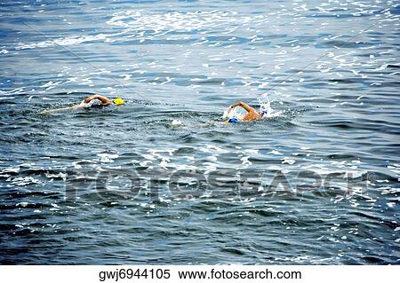 Two people swimming at the La Jolla Reefs, San Diego Bay, California, USA View Large Photo Image Stock Photography - Two people swimming at the La Jolla Reefs, San Diego Bay, California, USA. Fotosearch
