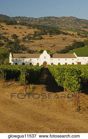 Stock Photo - Vineyard in front of a building. Fotosearch