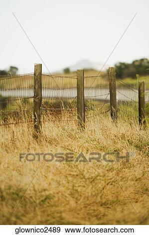 Stock Photo - Wire fence put around a meadow. Fotosearch