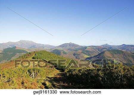 Aerial view of trees on the hillside, Spain View Large Photo Image Stock Image - Aerial view of trees on the hillside, Spain. Fotosearch