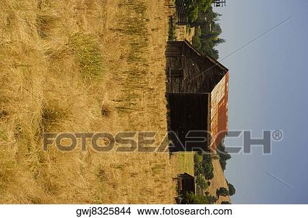 Barn in a field View Large Photo Image Picture - Barn in a field. Fotosearch