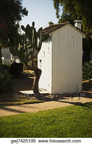 Cactus plant growing beside an outhouse, San Diego, California, USA View Large Photo Image Stock Image - Cactus plant growing beside an outhouse, San Diego, California, USA. Fotosearch
