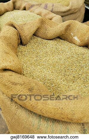 Close-up of a sack of grain, Jaisalmer, Rajasthan, India View Large Photo Image Stock Photo - Close-up of a sack of grain, Jaisalmer, Rajasthan, India. Fotosearch