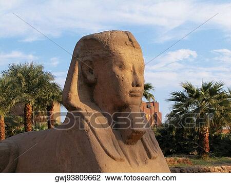 Close-up of a statue, Temple Of Luxor, Luxor, Egypt View Large Photo Image Stock Image - Close-up of a statue, Temple Of Luxor, Luxor, Egypt. Fotosearch