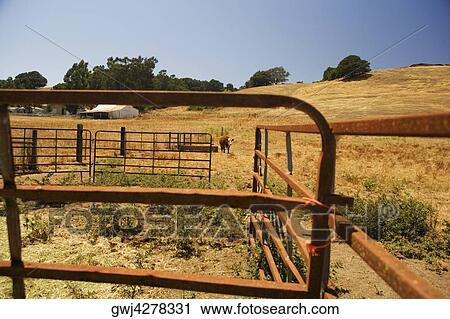 Close-up of an iron fence in a field View Large Photo Image Stock Image - Close-up of an iron fence in a field. Fotosearch