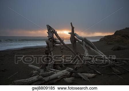 Close-up of driftwood on the beach View Large Photo Image Stock Photography - Close-up of driftwood on the beach. Fotosearch