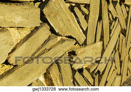 Close-up of driftwood, Spain View Large Photo Image Stock Photo - Close-up of driftwood, Spain. Fotosearch