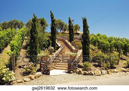 Facade of staircase leading to a winery, Napa Valley, California, USA View Large Photo Image Stock Image - Facade of staircase leading to a winery, Napa Valley, California, USA. Fotosearch