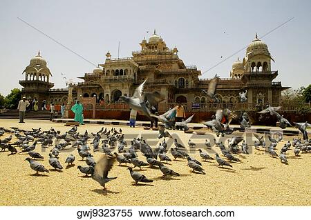 Group of people in front of a museum, Government Central Museum, Jaipur, Rajasthan, India View Large Photo Image Stock Photography - Group of people in front of a museum, Government Central Museum, Jaipur, Rajasthan, India. Fotosearch
