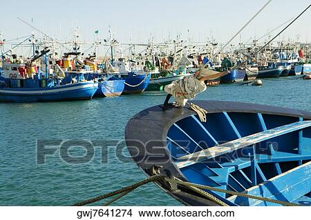 Picture - Group of trawlers moored at a harbor, Spain. Fotosearch
