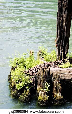 High angle view of a chain on a wooden post View Large Photo Image Picture - High angle view of a chain on a wooden post. Fotosearch