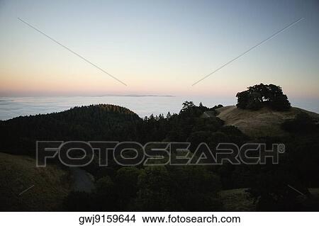 High angle view of a cloudscape View Large Photo Image Picture - High angle view of a cloudscape. Fotosearch