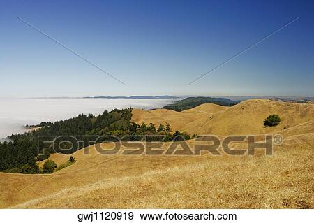 High angle view of a cloudscape View Large Photo Image Stock Photo - High angle view of a cloudscape. Fotosearch