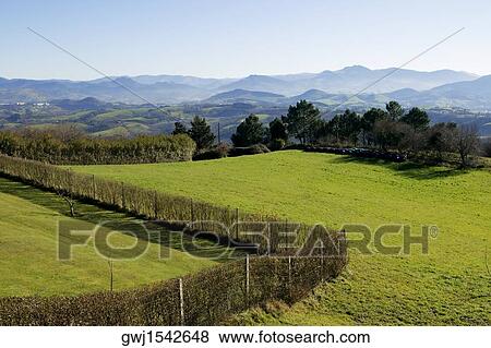 High angle view of a farm, Spain View Large Photo Image Stock Photo - High angle view of a farm, Spain. Fotosearch