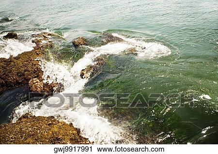High angle view of a rock formation in the sea, La Jolla Reefs, San Diego Bay, California, USA View Large Photo Image Stock Image - High angle view of a rock formation in the sea, La Jolla Reefs, San Diego Bay, California, USA. Fotosearch
