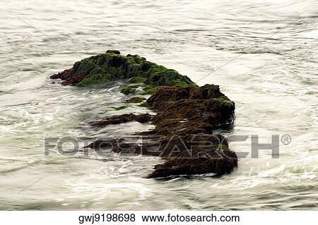 High angle view of a rock formation in the sea, La Jolla Reefs, San Diego Bay, California, USA View Large Photo Image Stock Photo - High angle view of a rock formation in the sea, La Jolla Reefs, San Diego Bay, California, USA. Fotosearch