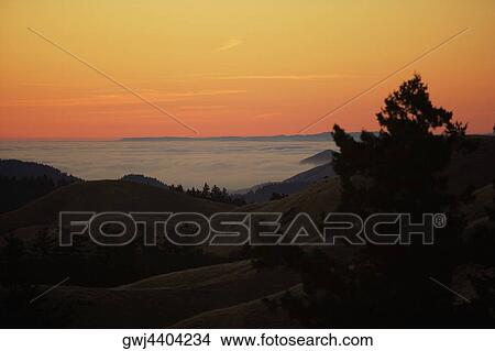 High angle view of clouds around a hill, Mt. Tamalpais State Park, California, USA View Large Photo Image Picture - High angle view of clouds around a hill, Mt. Tamalpais State Park, California, USA. Fotosearch