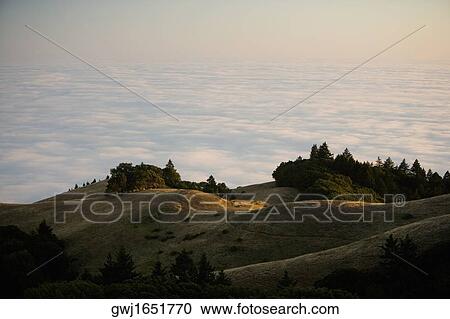 High angle view of clouds around a hill, Mt. Tamalpais State Park, California, USA View Large Photo Image Stock Image - High angle view of clouds around a hill, Mt. Tamalpais State Park, California, USA. Fotosearch