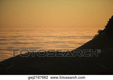 Stock Image - High angle view of clouds around a hill, Mt. Tamalpais State Park, California, USA. Fotosearch