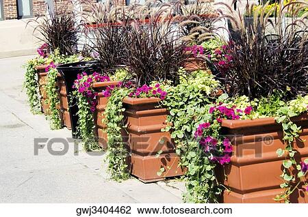 High angle view of potted plants View Large Photo Image Stock Image - High angle view of potted plants. Fotosearch