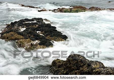 Picture - High angle view of rocks in the Pacific Ocean, California, USA. Fotosearch