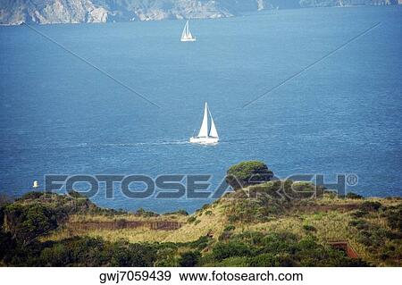 High angle view of sailboats on the Pacific Ocean, Los Angeles, California, USA View Large Photo Image Stock Photo - High angle view of sailboats on the Pacific Ocean, Los Angeles, California, USA. Fotosearch