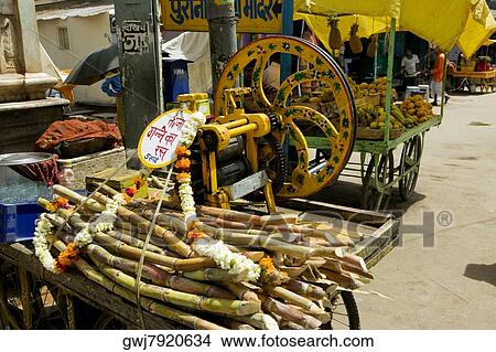 High angle view of sugar canes in a market stall, Pushkar, Rajasthan, India View Large Photo Image Picture - High angle view of sugar canes in a market stall, Pushkar, Rajasthan, India. Fotosearch
