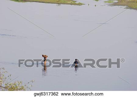 Stock Image - High angle view of two farmers crossing a river, Agra, Uttar Pradesh, India. Fotosearch