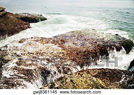 High angle view of water flowing over a rock formation, La Jolla Reefs, San Diego Bay, California, USA View Large Photo Image Stock Photography - High angle view of water flowing over a rock formation, La Jolla Reefs, San Diego Bay, California, USA. Fotosearch