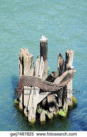 Stock Photography - High angle view of wooden posts tied in chain, Chicago River, Chicago, Illinois, USA. Fotosearch