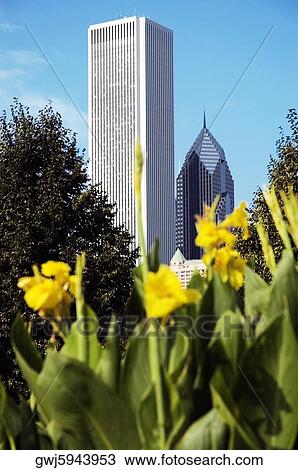Low angle view of a building in a city, Two Prudential Plaza, Aon Center, Chicago, Illinois, USA View Large Photo Image Stock Image - Low angle view of a building in a city, Two Prudential Plaza, Aon Center, Chicago, Illinois, USA. Fotosearch