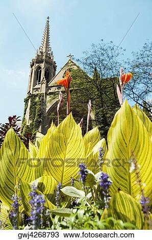 Low angle view of a church, Fourth Presbyterian Church, Michigan Avenue, Chicago, Illinois, USA View Large Photo Image Stock Image - Low angle view of a church, Fourth Presbyterian Church, Michigan Avenue, Chicago, Illinois, USA. Fotosearch