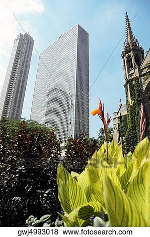 Stock Photo - Low angle view of a church, Fourth Presbyterian Church, Michigan Avenue, Chicago, Illinois, USA. Fotosearch