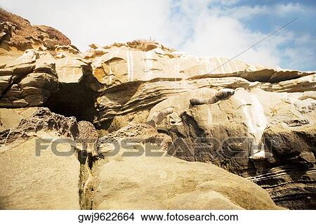 Low angle view of a cliffs, La Jolla Reefs, San Diego Bay, California, USA View Large Photo Image Picture - Low angle view of a cliffs, La Jolla Reefs, San Diego Bay, California, USA. Fotosearch