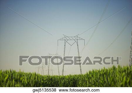 Low angle view of an electricity pylon in a farm View Large Photo Image Stock Photo - Low angle view of an electricity pylon in a farm. Fotosearch