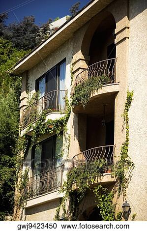 Low angle view of balconies covered in ivy, California, USA View Large Photo Image Stock Image - Low angle view of balconies covered in ivy, California, USA. Fotosearch