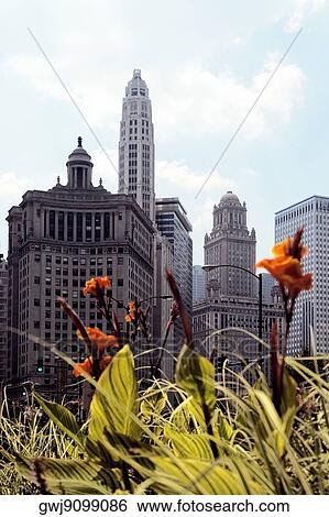 Stock Photograph - Low angle view of buildings in a city, Chicago, Illinois, USA. Fotosearch