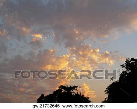 Low angle view of overcast clouds over trees View Large Photo Image Stock Photograph - Low angle view of overcast clouds over trees. Fotosearch