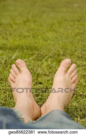 Low section view of a person's feet on the grass View Large Photo Image Stock Image - Low section view of a person's feet on the grass. Fotosearch