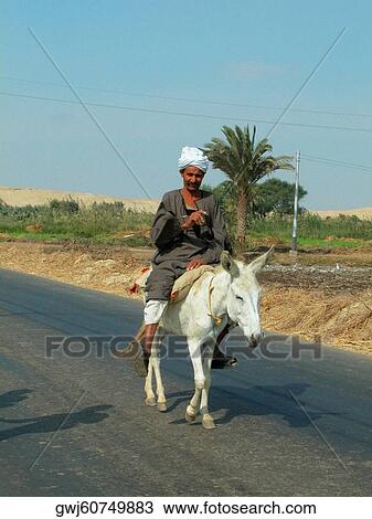 Mature man riding a donkey View Large Photo Image Stock Image - Mature man riding a donkey. Fotosearch