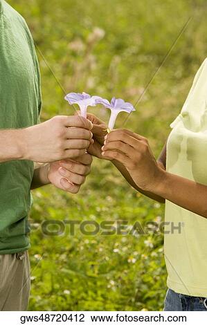 Stock Image - Mid section view of a man and a woman holding flowers. Fotosearch