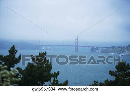 Panoramic view of a bridge in fog, Golden Gate Bridge, San Francisco, California, USA View Large Photo Image Picture - Panoramic view of a bridge in fog, Golden Gate Bridge, San Francisco, California, USA. Fotosearch