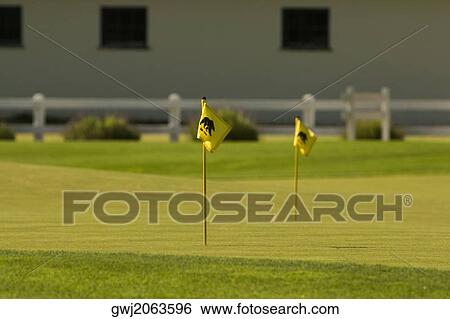 Panoramic view of a golf course View Large Photo Image Stock Photograph - Panoramic view of a golf course. Fotosearch