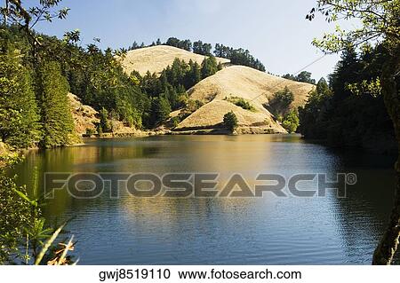 Panoramic view of a lake, Mt. Tamalpais State Park, California, USA View Large Photo Image Stock Image - Panoramic view of a lake, Mt. Tamalpais State Park, California, USA. Fotosearch