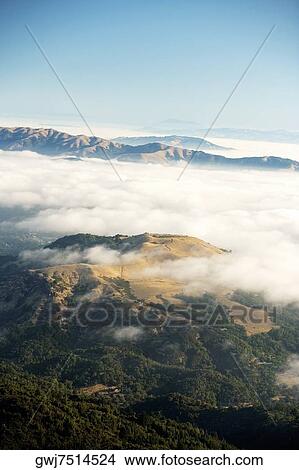 Panoramic view of a mountain, Mt. Tamalpais State Park, California, USA View Large Photo Image Picture - Panoramic view of a mountain, Mt. Tamalpais State Park, California, USA. Fotosearch