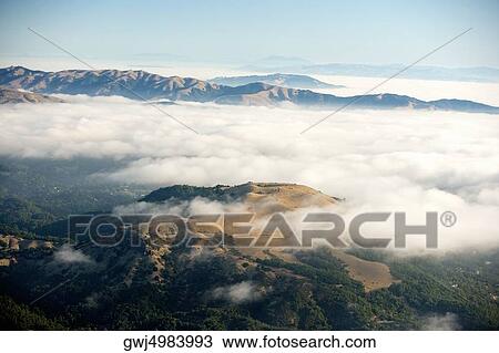 Panoramic view of a mountain, Mt. Tamalpais State Park, California, USA View Large Photo Image Stock Image - Panoramic view of a mountain, Mt. Tamalpais State Park, California, USA. Fotosearch